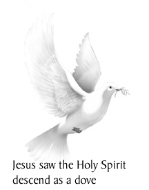 The Holy Spirit as a dove