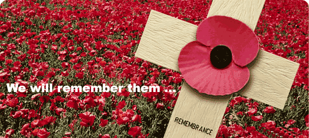 Image result for poppy pictures we will remember them