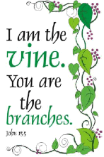 I am the vine, you are the branches