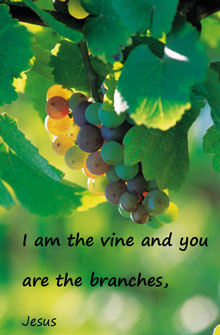 Jesus the tue vine