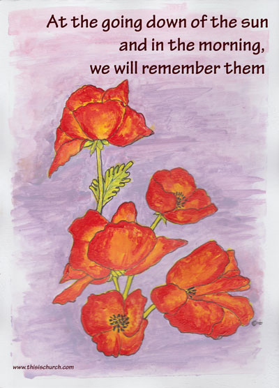 Poppies for remembrance sunday